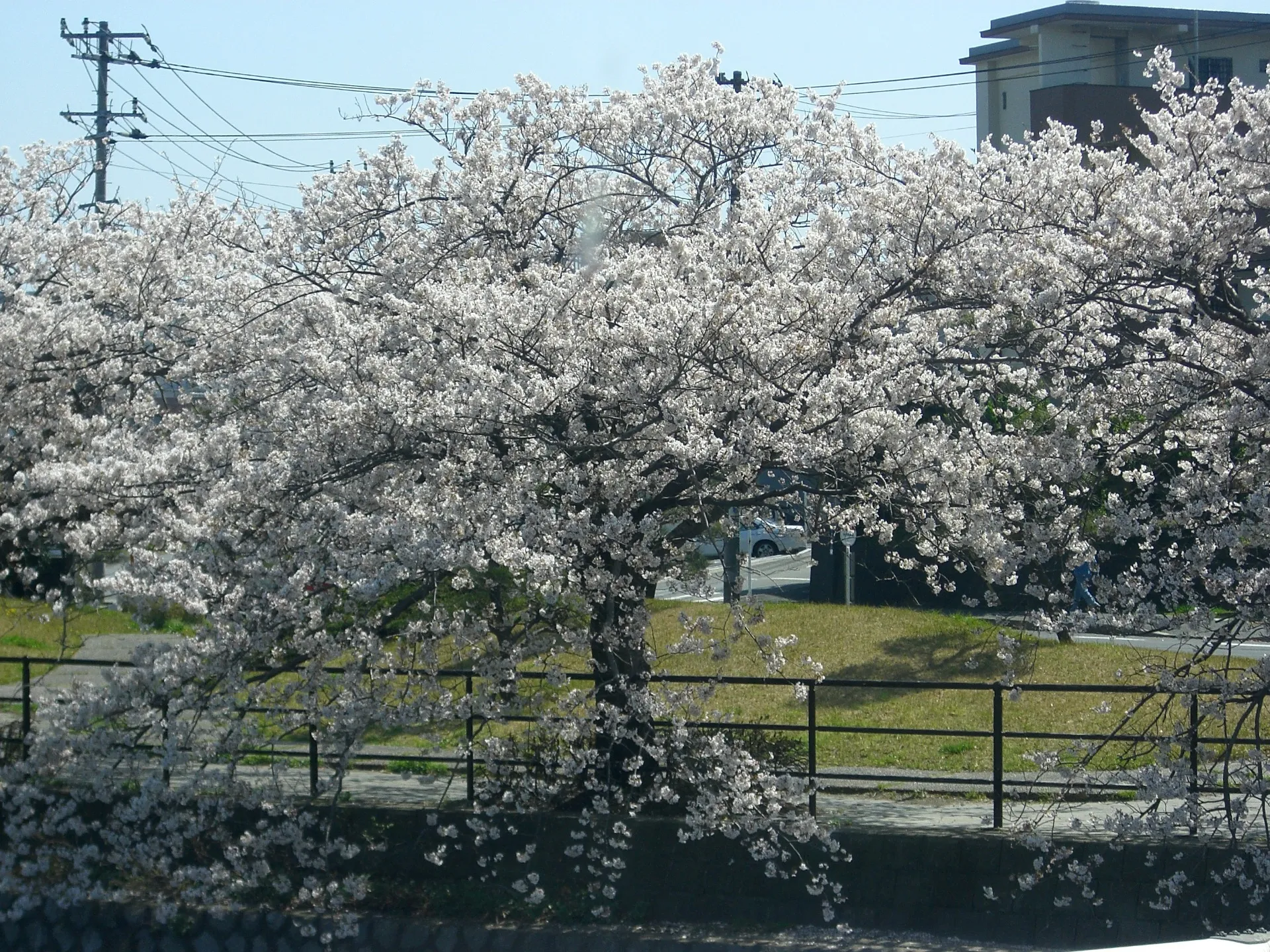 すごく丁寧で、安心できました